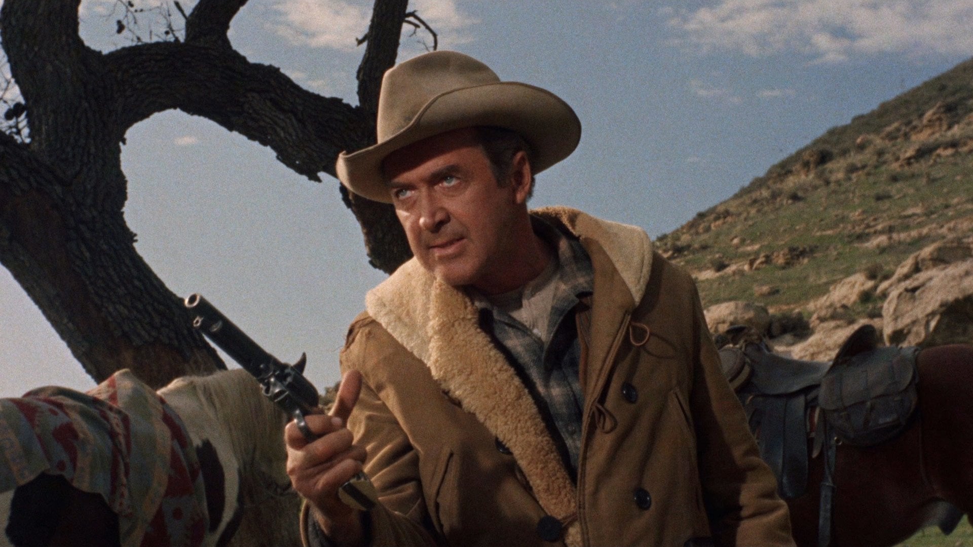 Foto do filme Terra Bruta