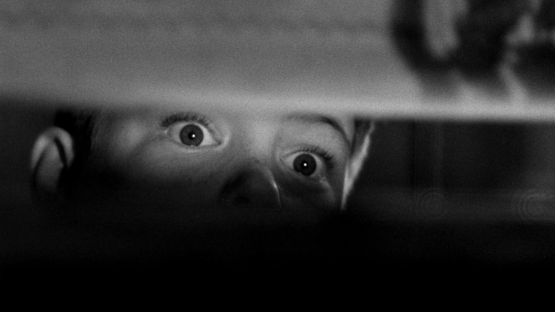 Foto do filme Ninguém Crê em Mim