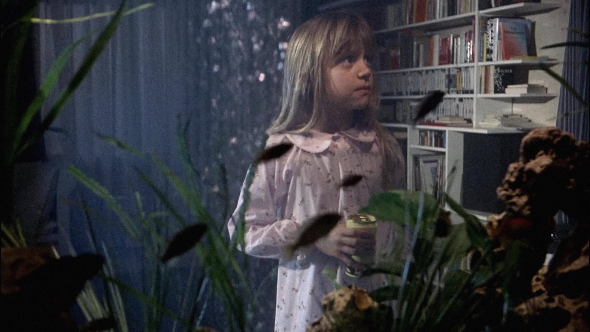 Foto do filme O Sétimo Continente