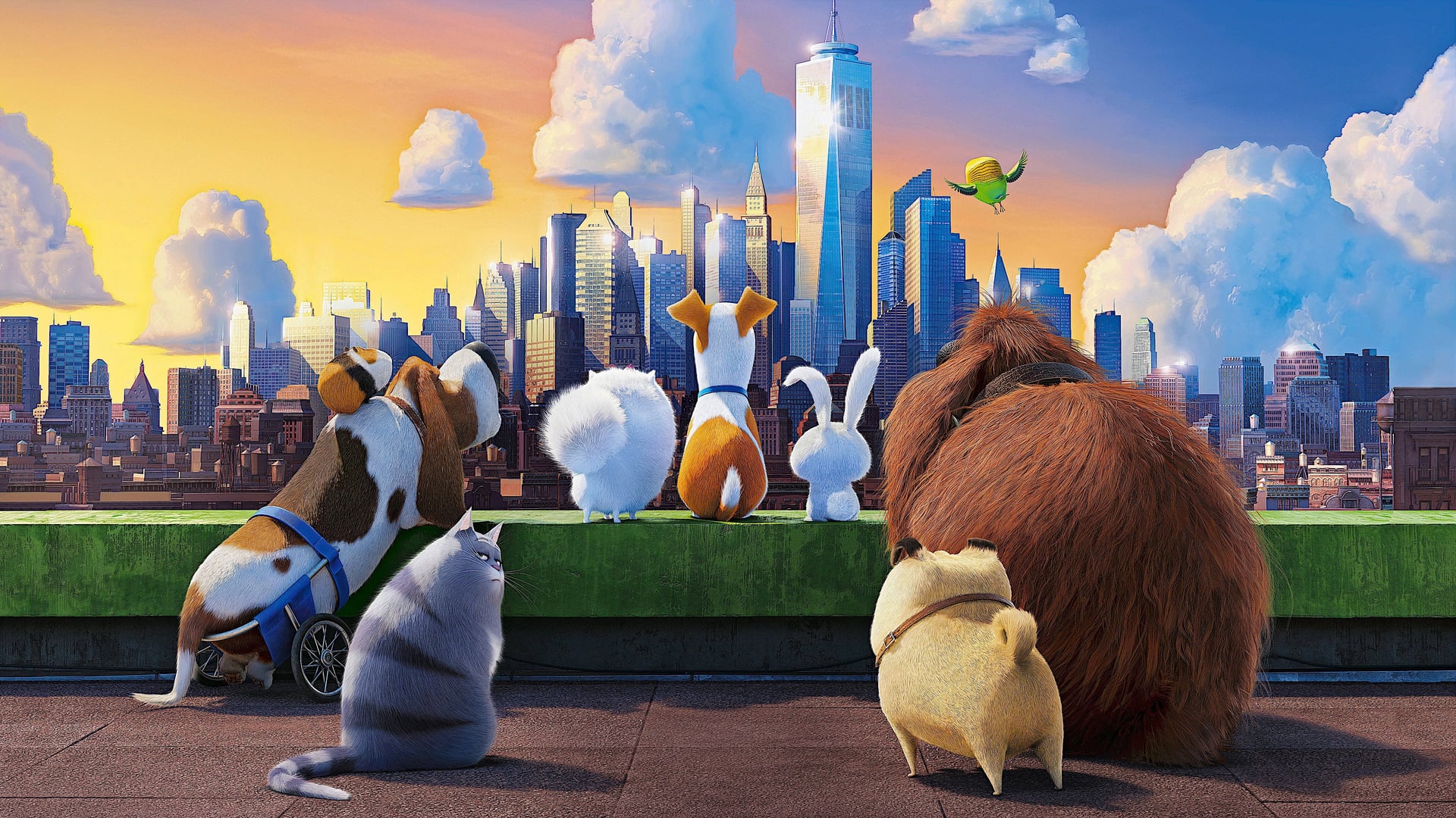 Foto do filme Pets: A Vida Secreta dos Bichos