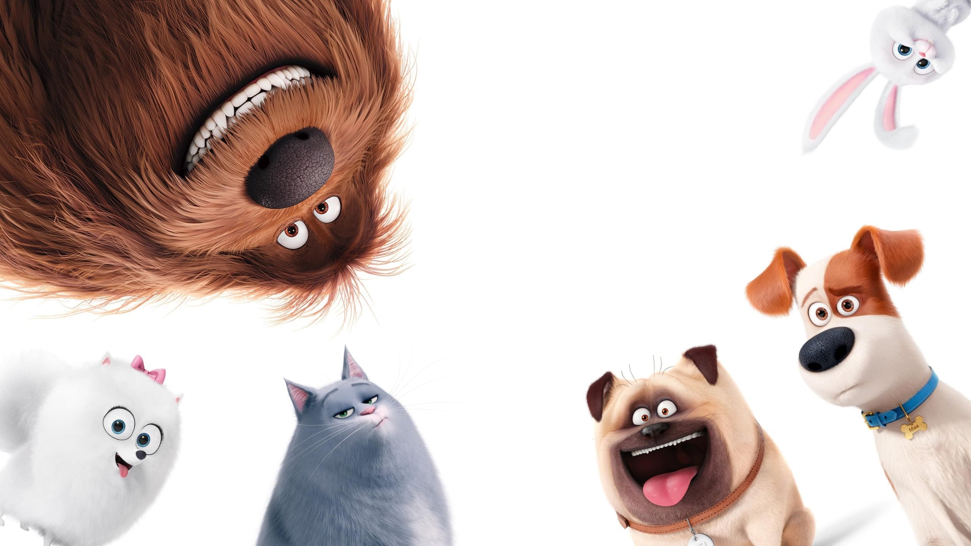 Foto do filme Pets: A Vida Secreta dos Bichos