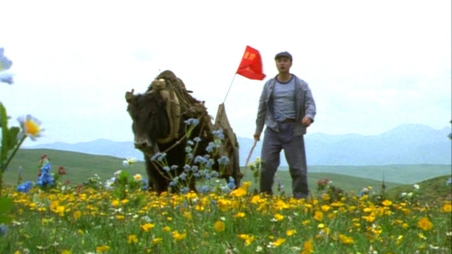 Foto do filme Xiu Xiu: The Sent-Down Girl