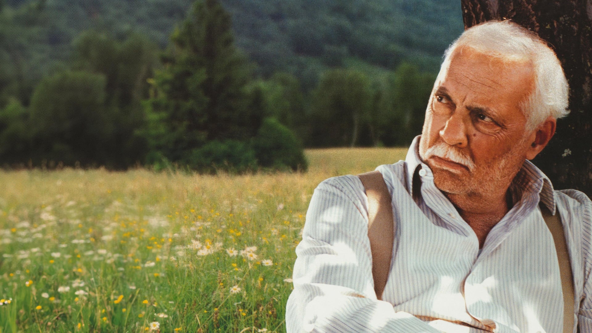 Foto do filme Une hirondelle a fait le printemps