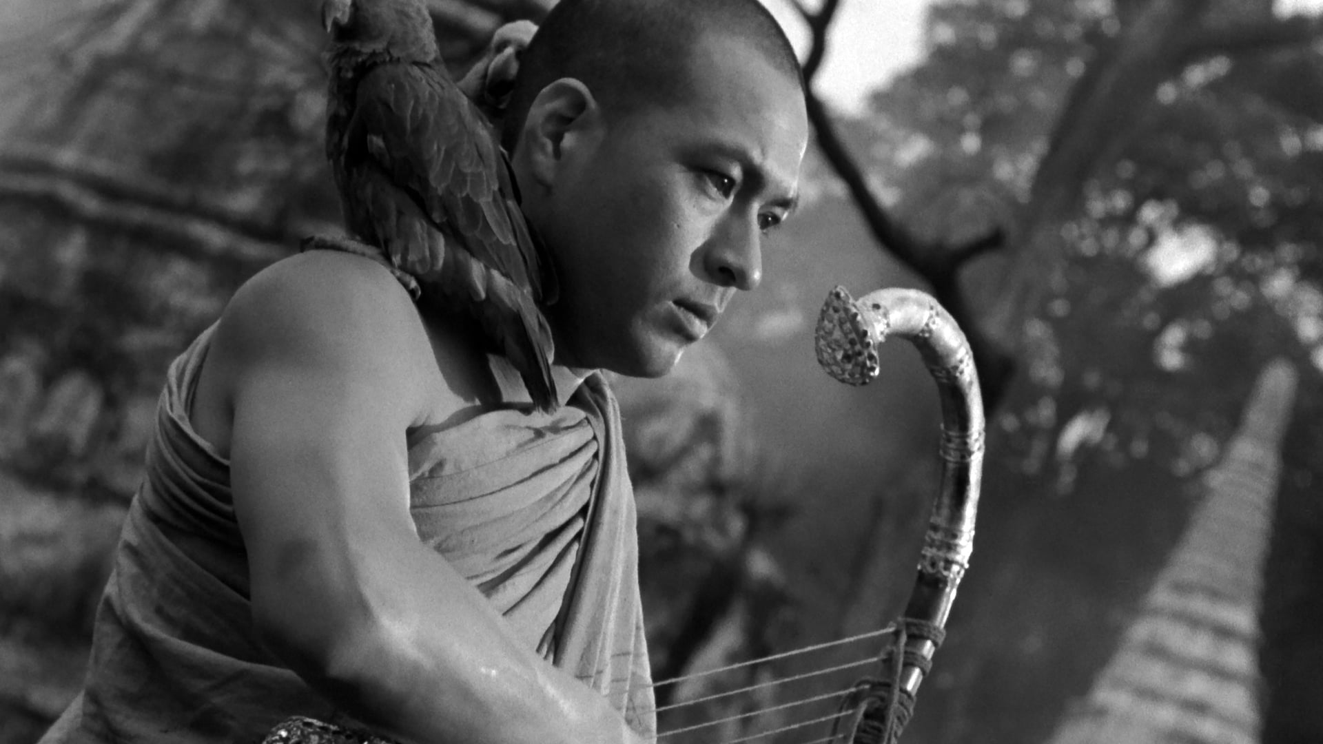 Foto do filme A Harpa da Birmânia