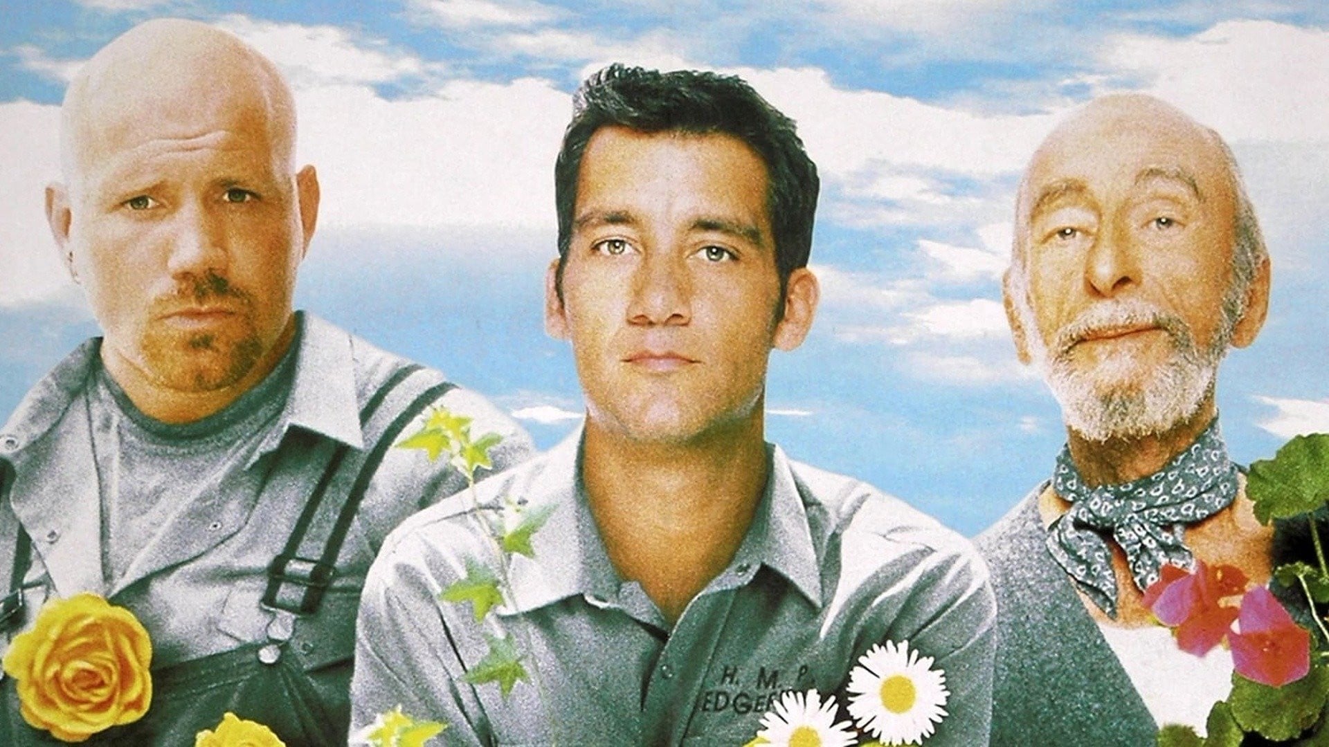 Foto do filme Greenfingers