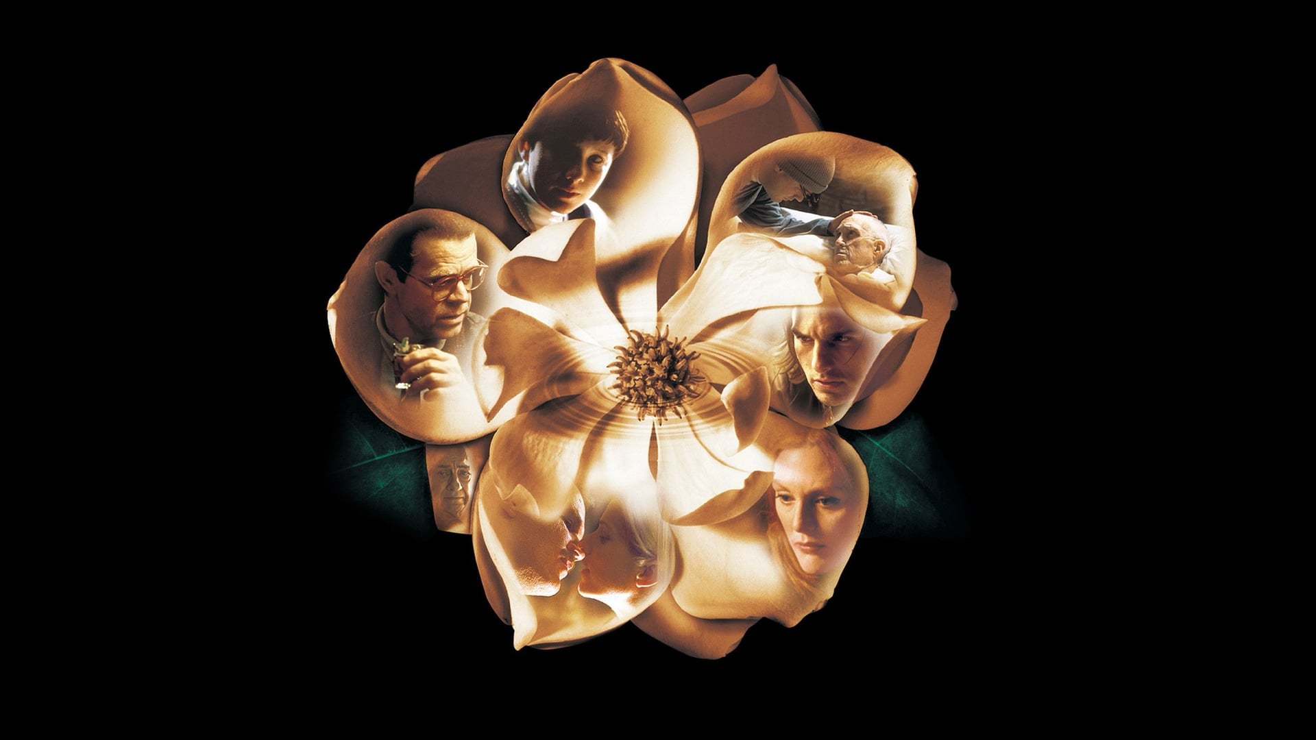 Foto do filme Magnólia