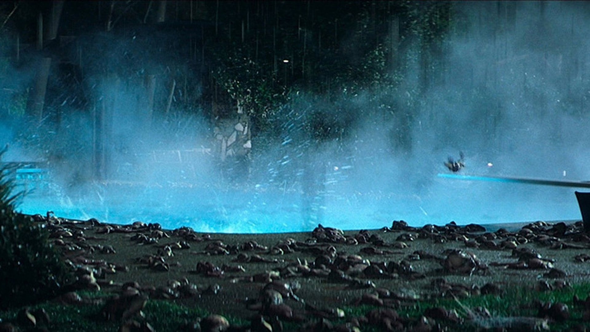 Foto do filme Magnólia