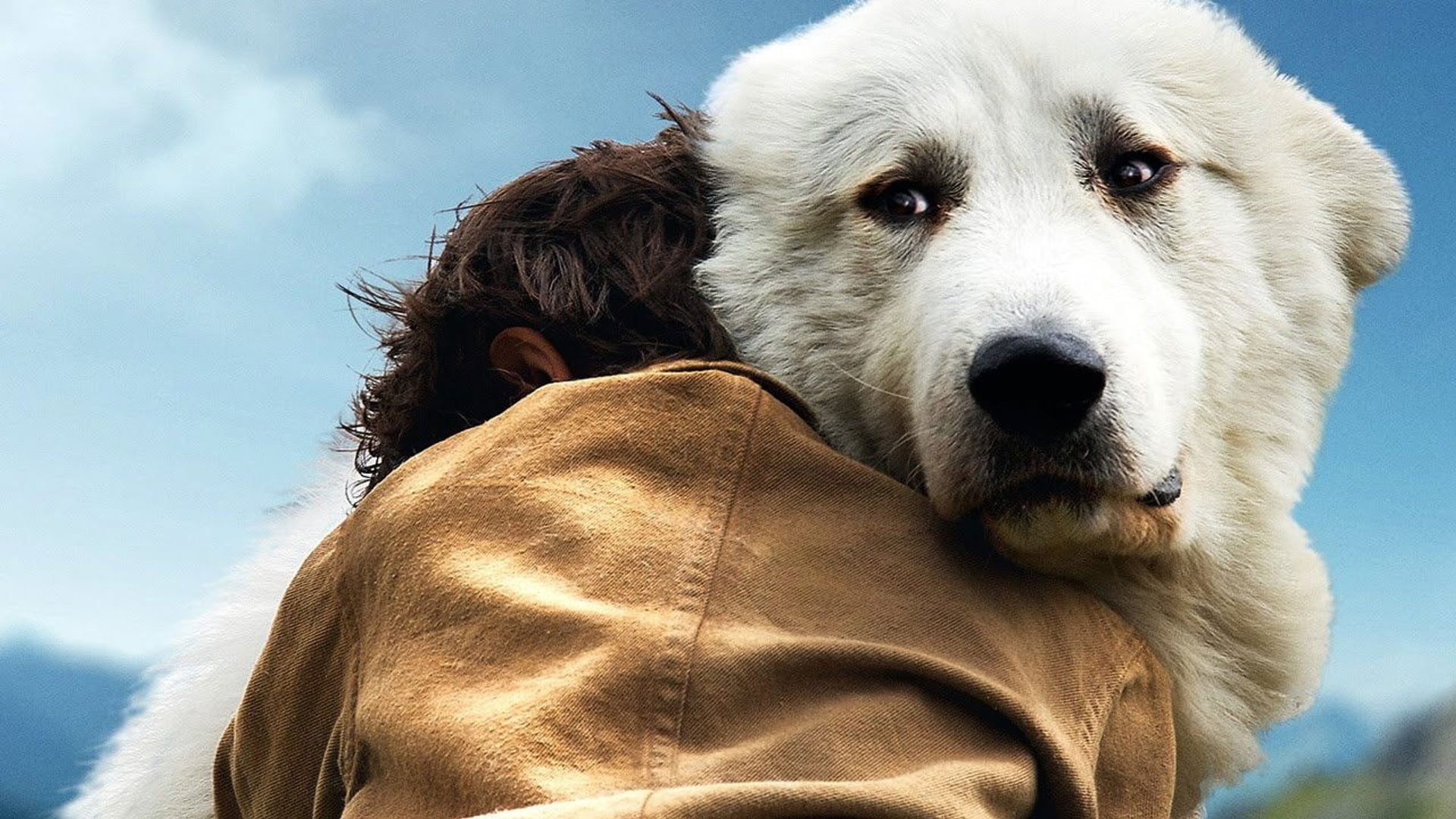 Foto do filme Belle e Sebástian: A Aventura Continua