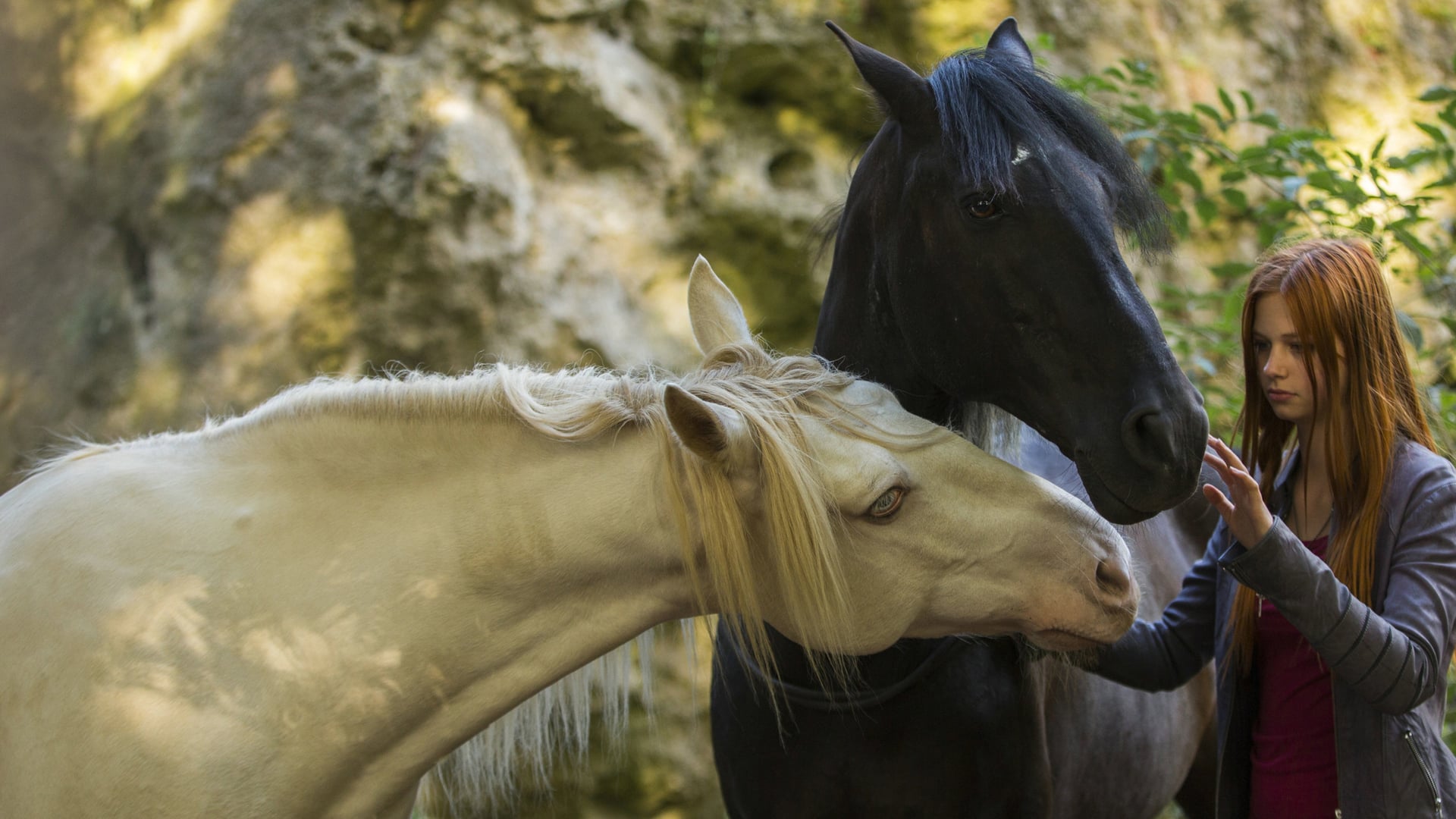 Foto do filme Livres Como o Vento 2