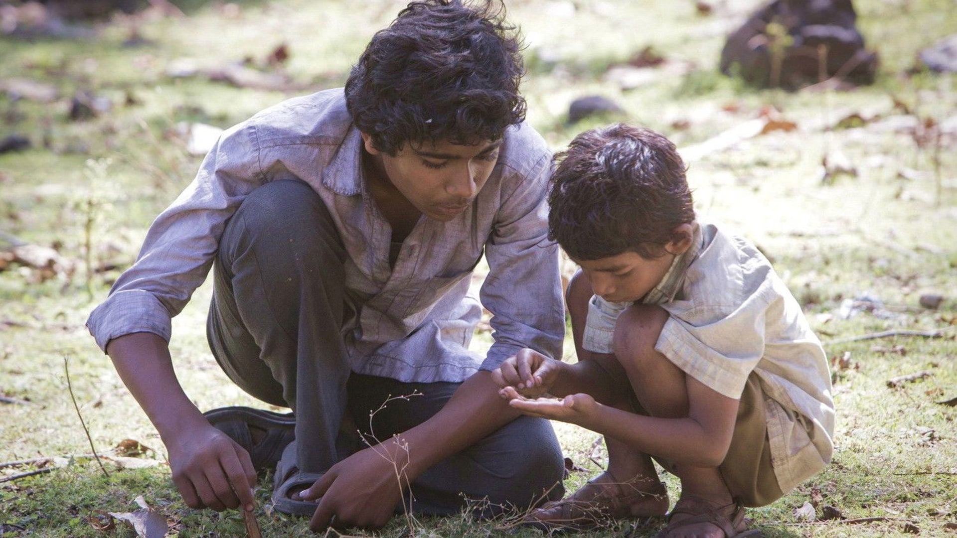 Foto do filme Lion: Uma Jornada para Casa