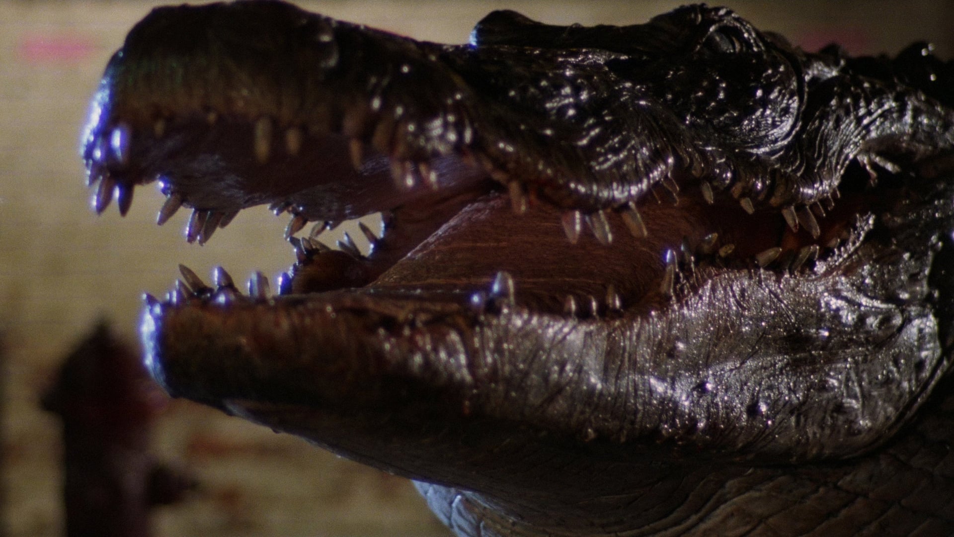 Foto do filme Alligator: O Jacaré Gigante