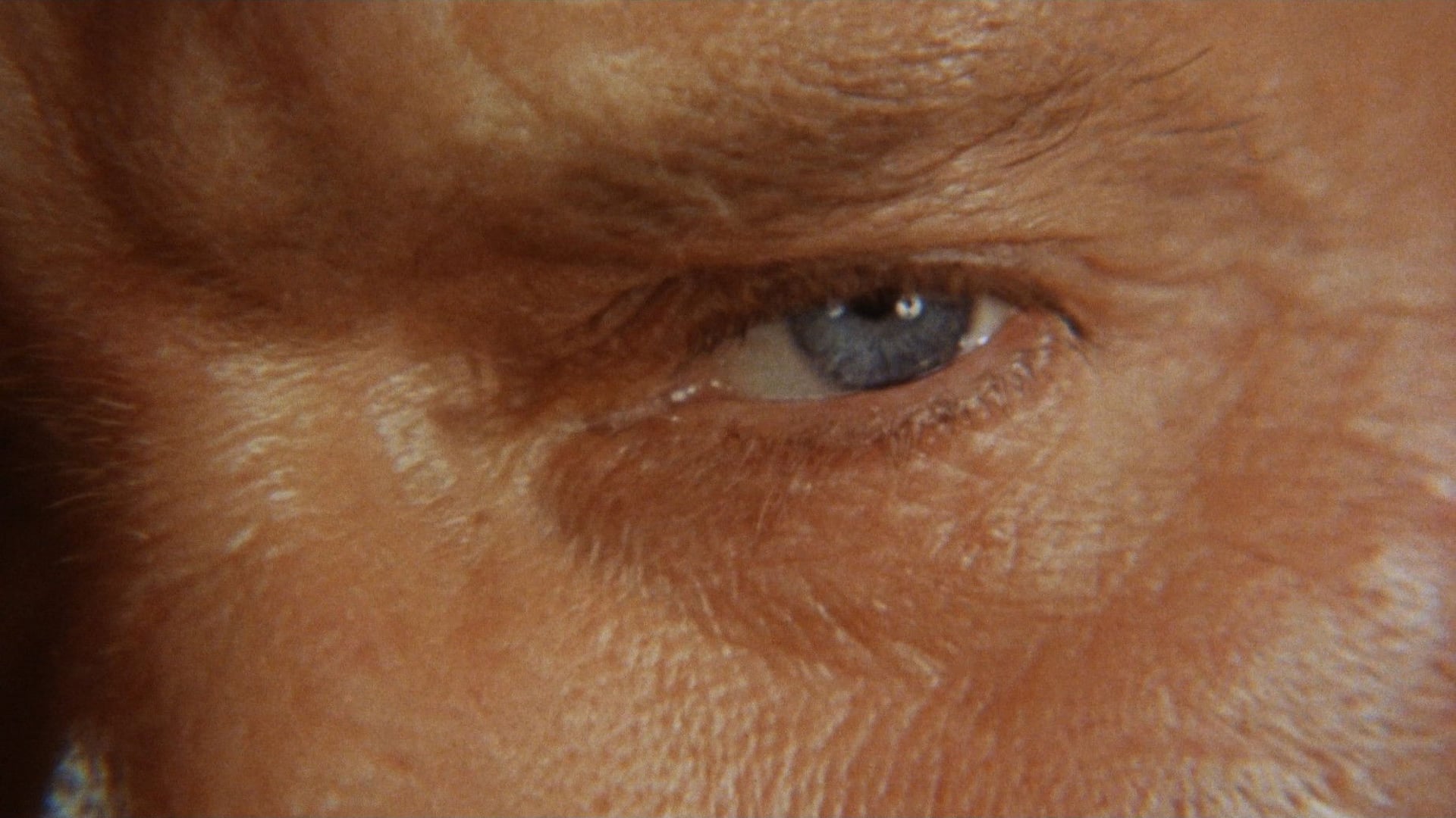 Foto do filme Enigma de uma Vida