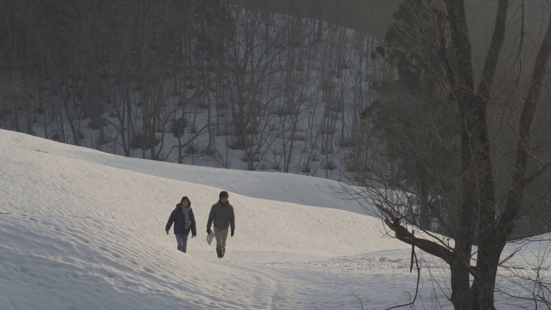 Foto do filme Pequena Floresta: Inverno/Primavera