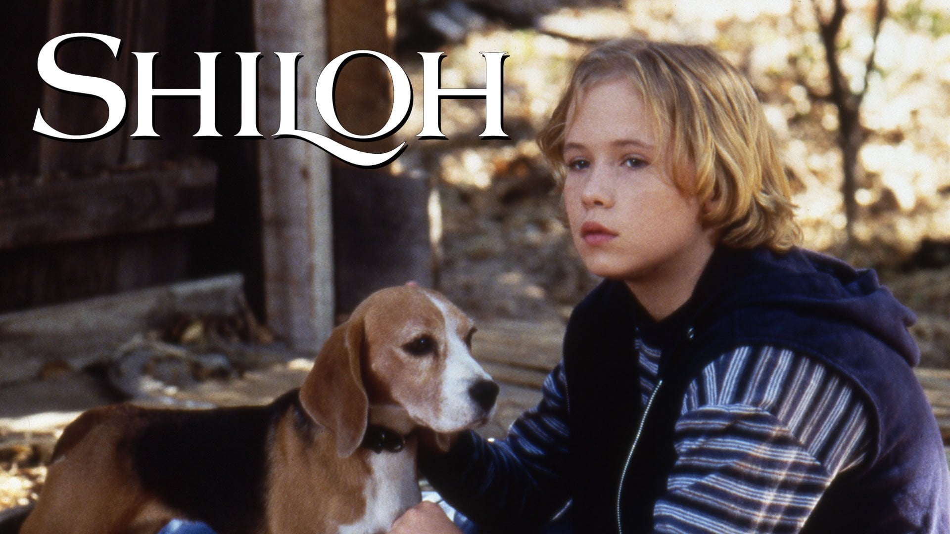 Foto do filme Shiloh - O Melhor Amigo