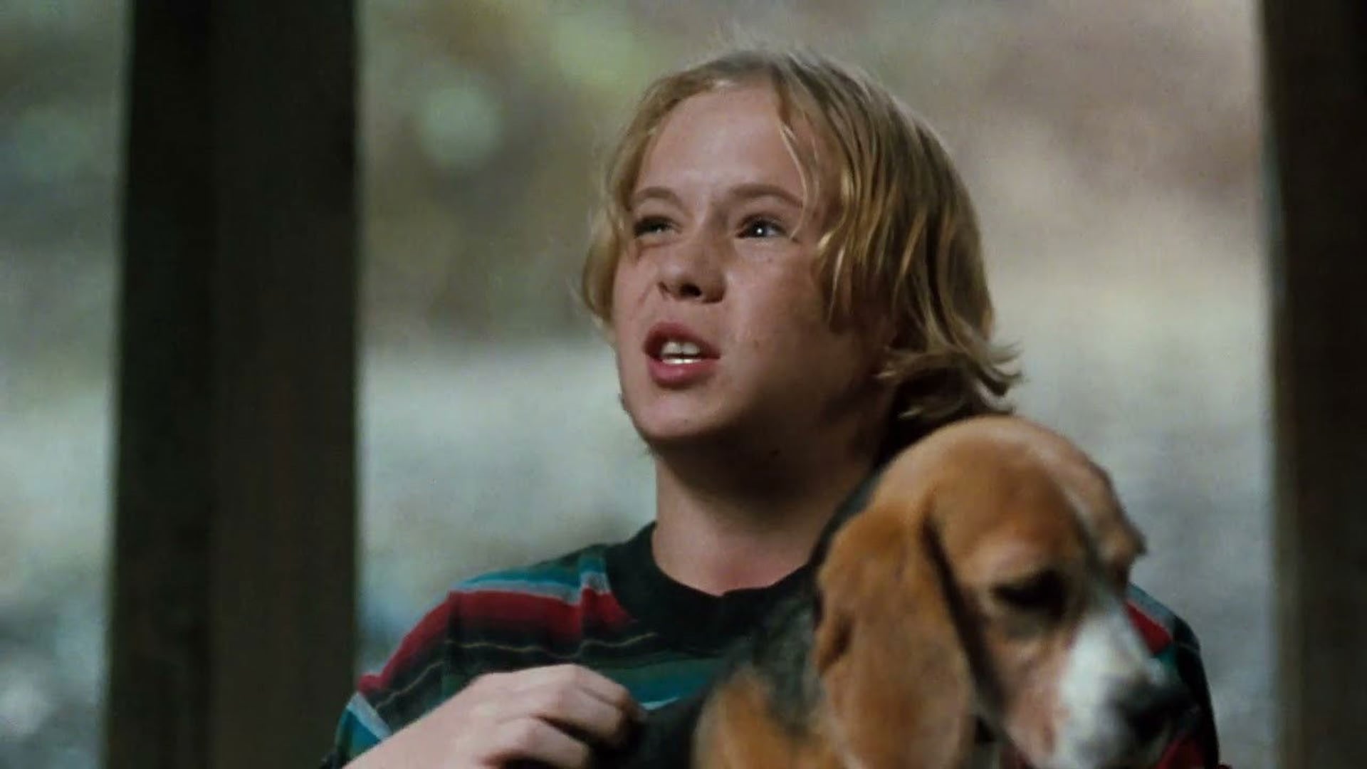 Foto do filme Shiloh - O Melhor Amigo