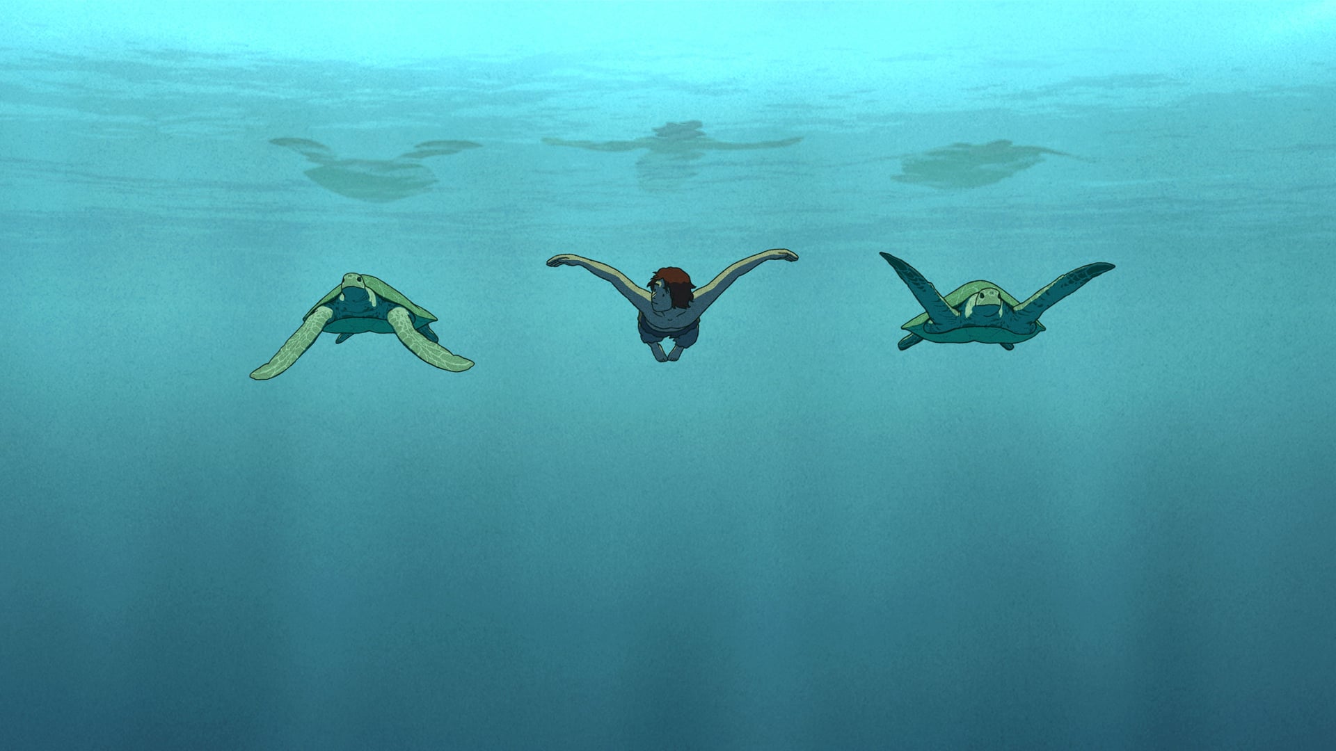 Foto do filme A Tartaruga Vermelha