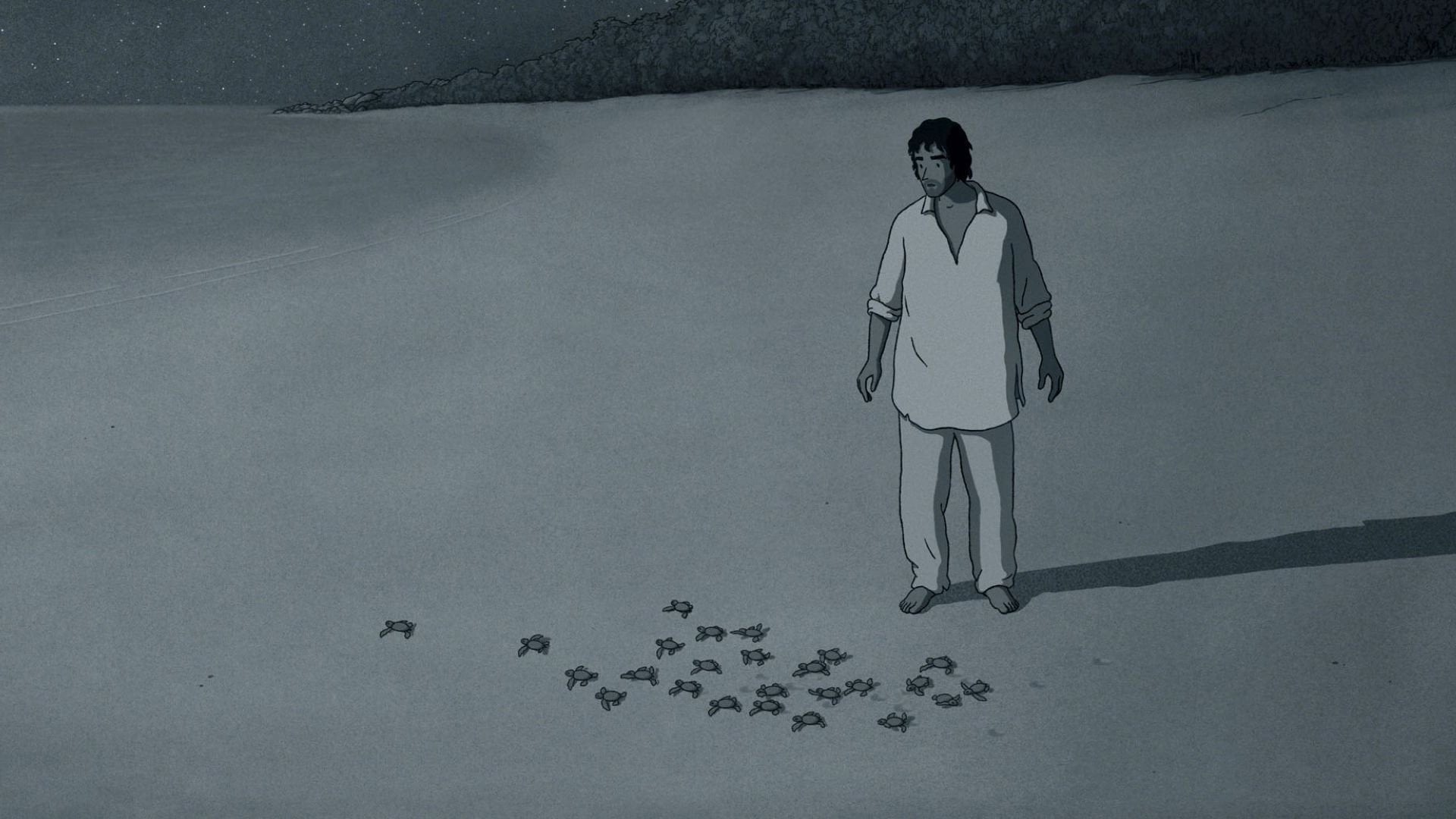 Foto do filme A Tartaruga Vermelha