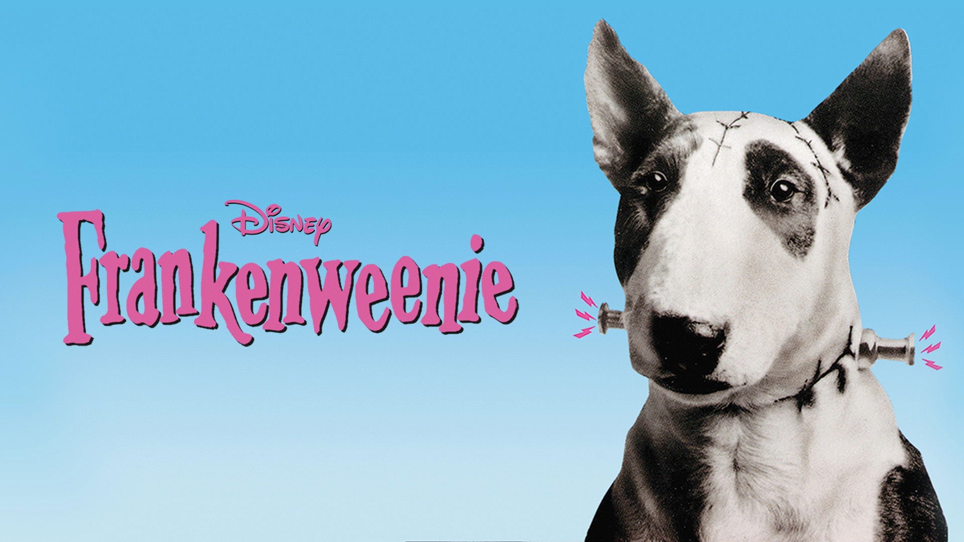 Foto do filme Frankenweenie