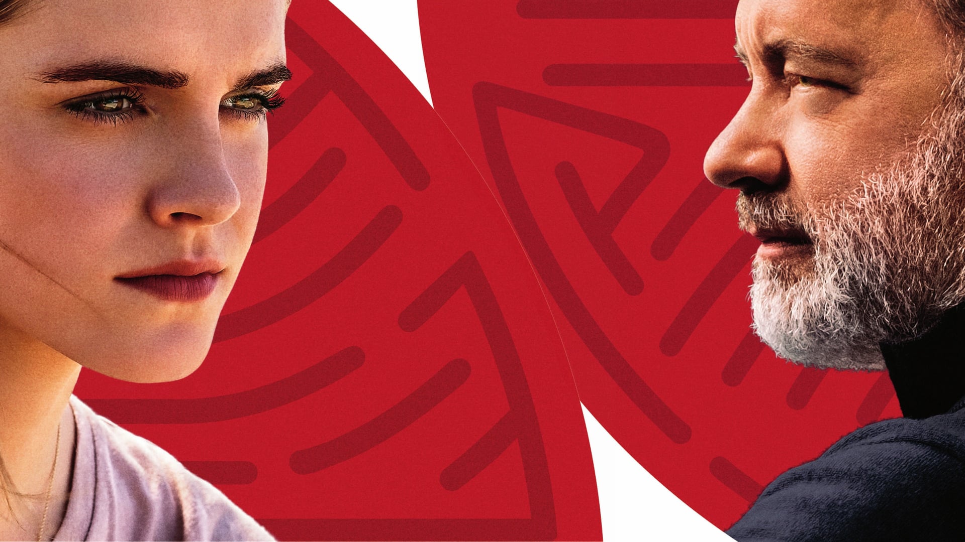 Foto do filme O Círculo