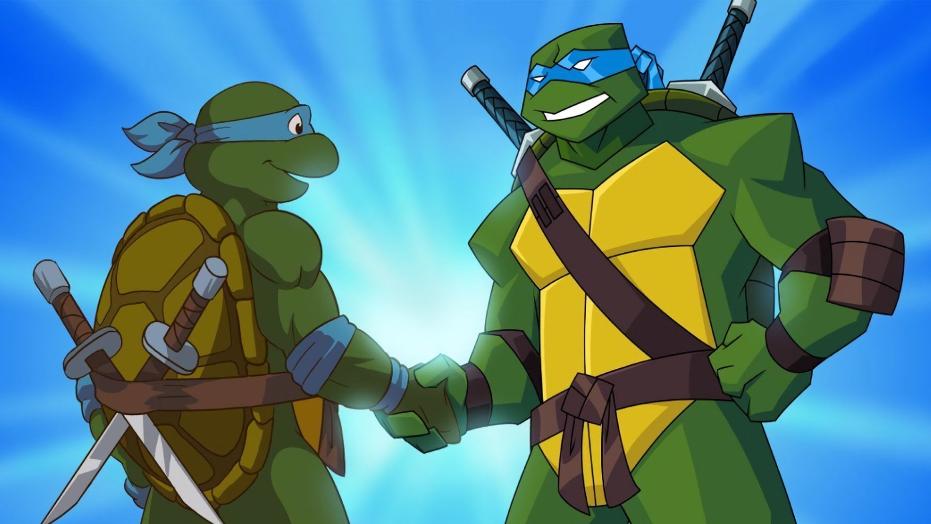 Foto do filme Turtles Forever