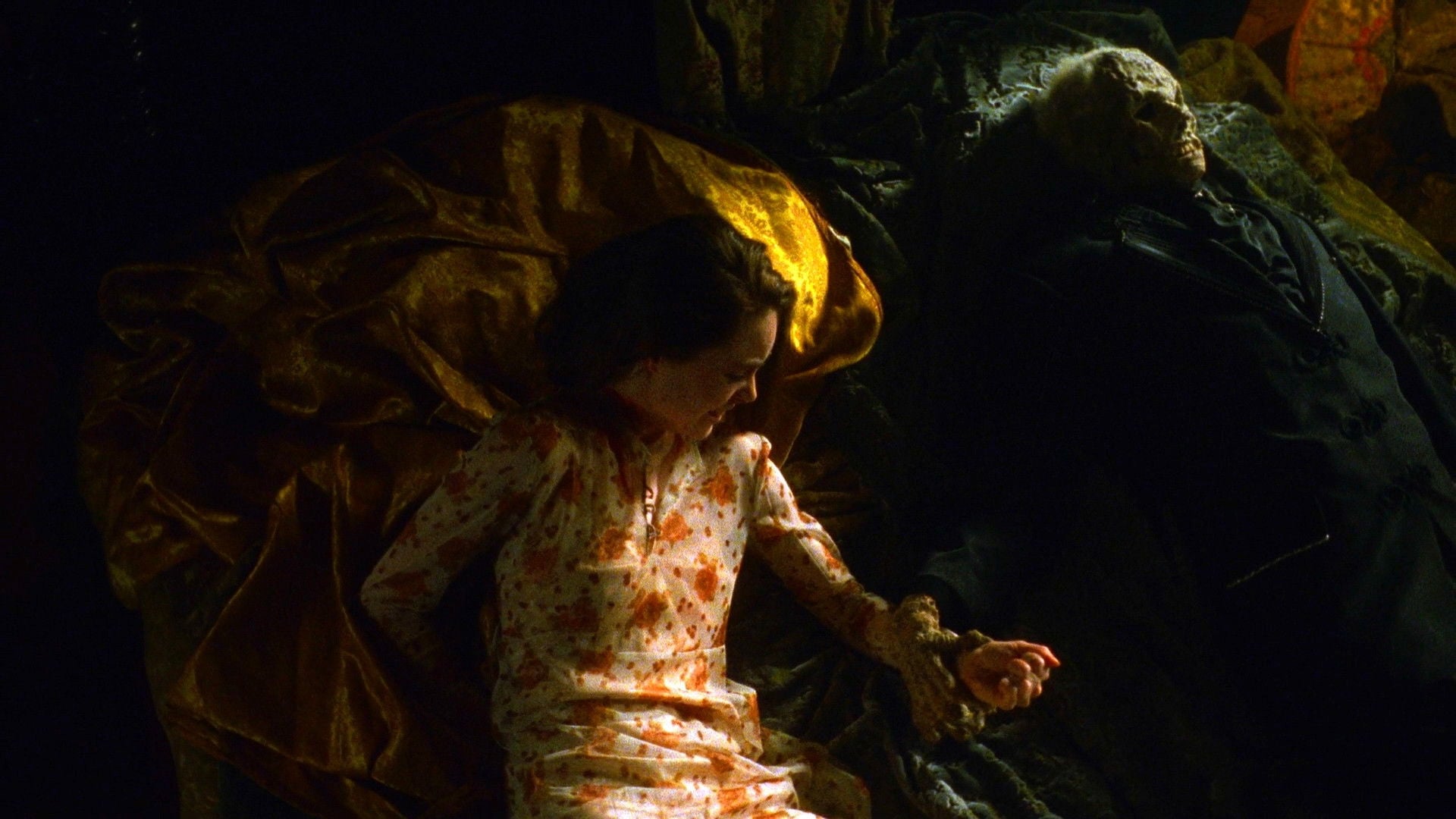 Foto do filme Vampire Journals