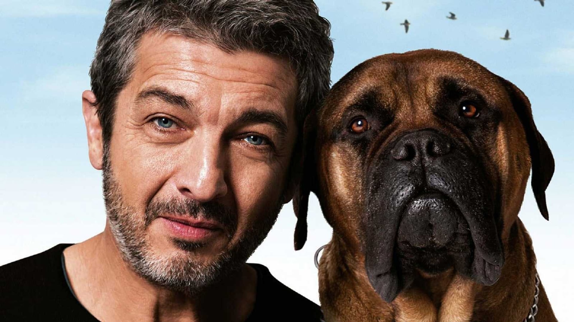 Foto do filme Truman