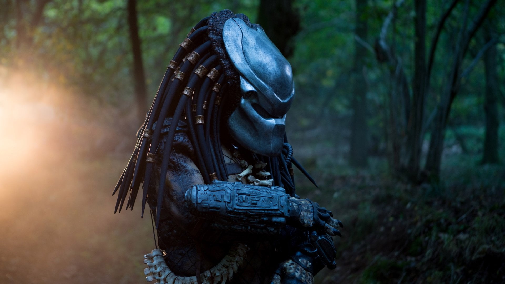 Foto do filme Predator: Dark Ages