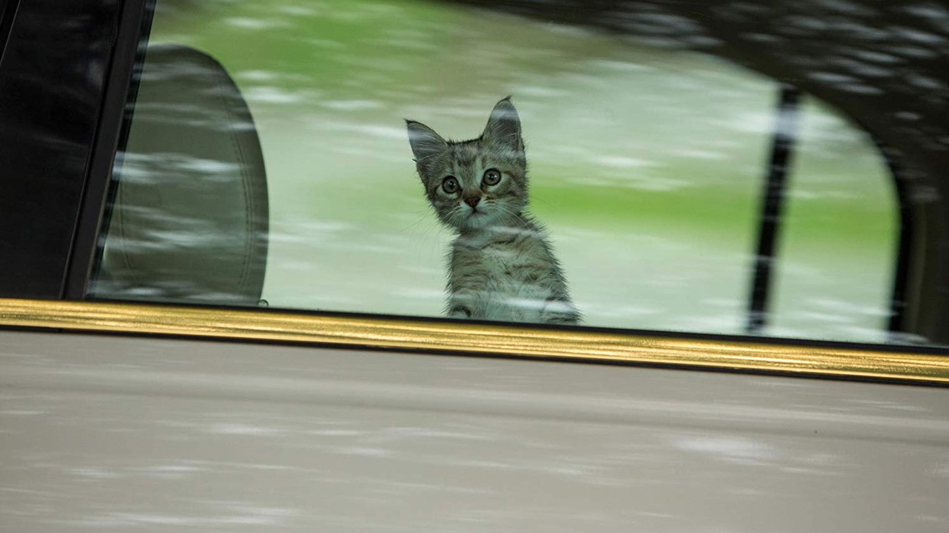 Foto do filme Keanu: Cadê Meu Gato?!