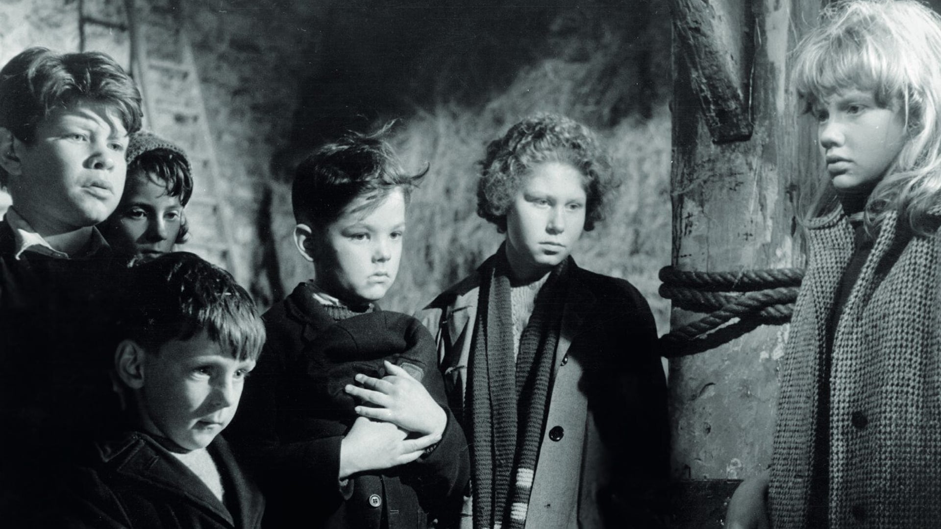 Foto do filme Whistle Down the Wind