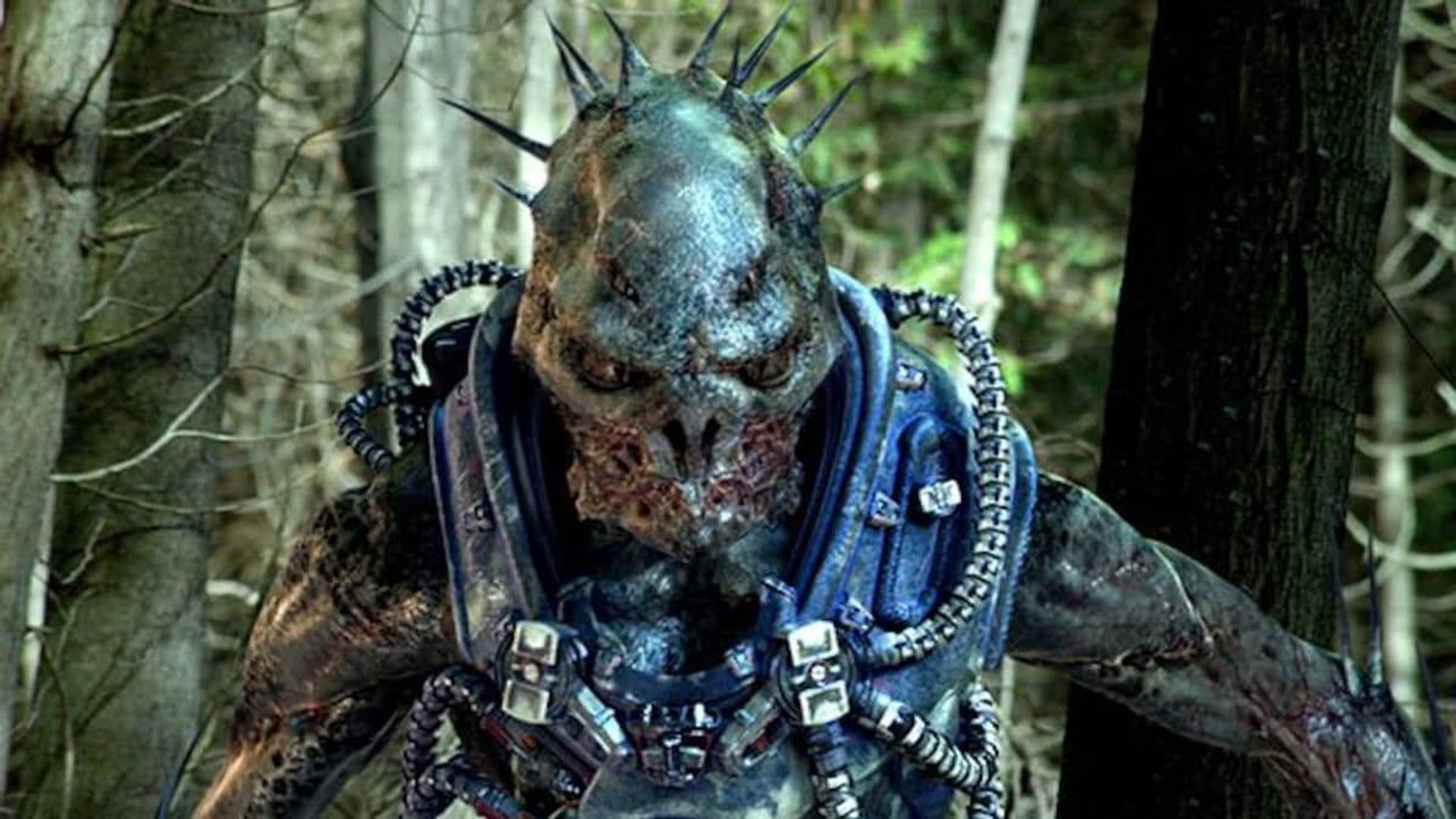 Foto do filme Man Vs.