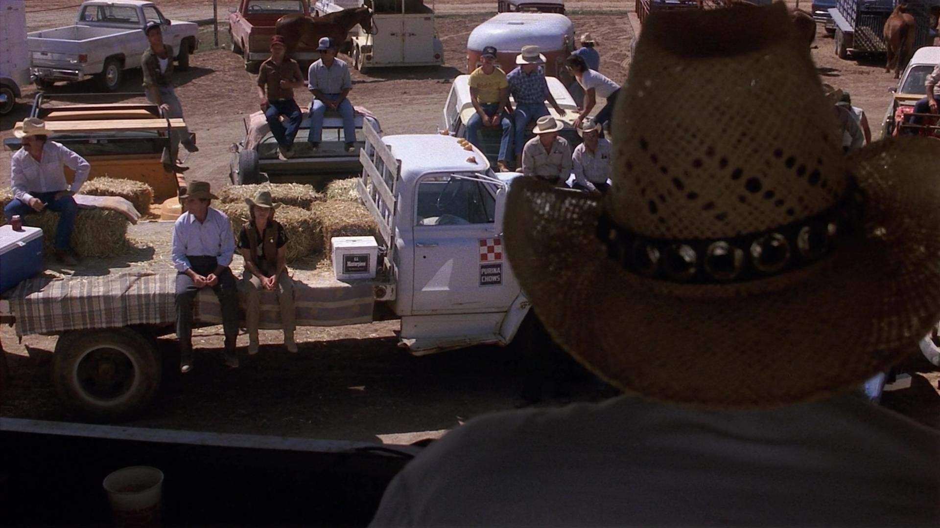 Foto do filme O Romance de Murphy