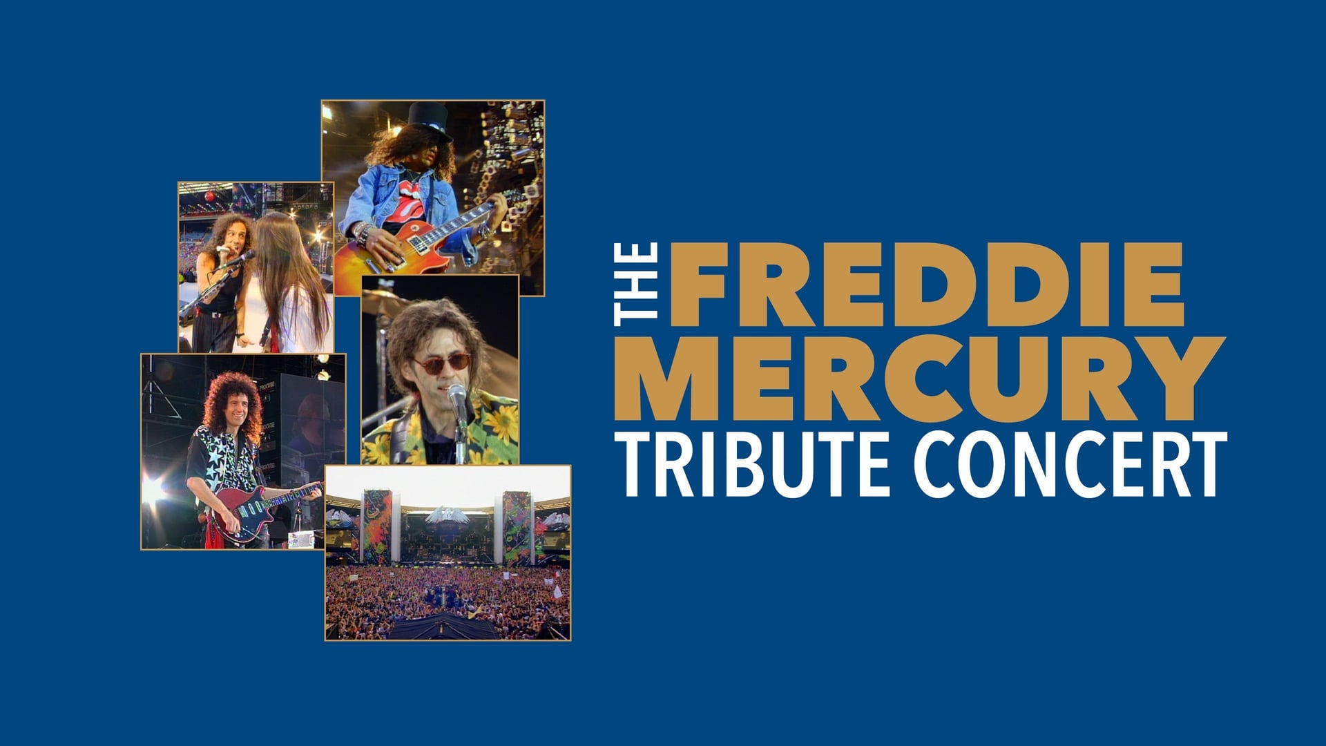 Foto do filme The Freddie Mercury Tribute Concert