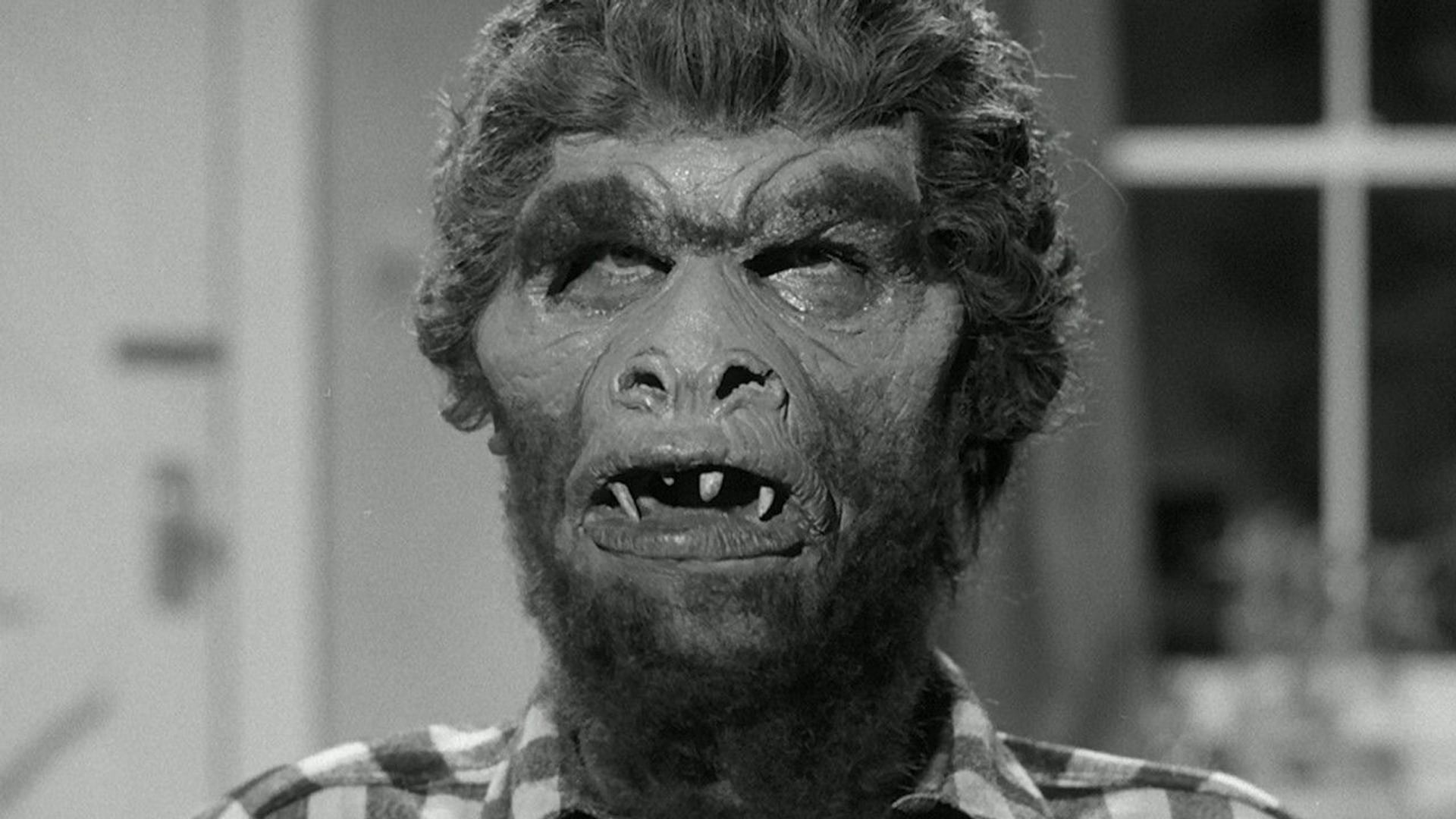 Foto do filme O Monstro Sanguinário