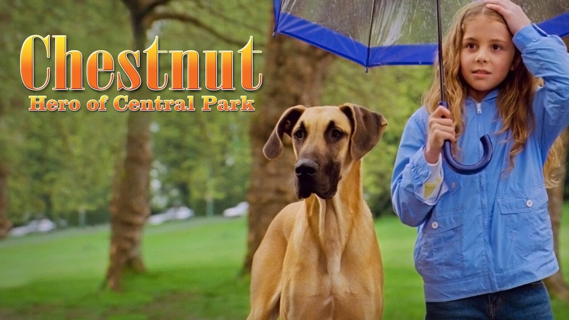 Foto do filme Chestnut: O Herói do Central Park