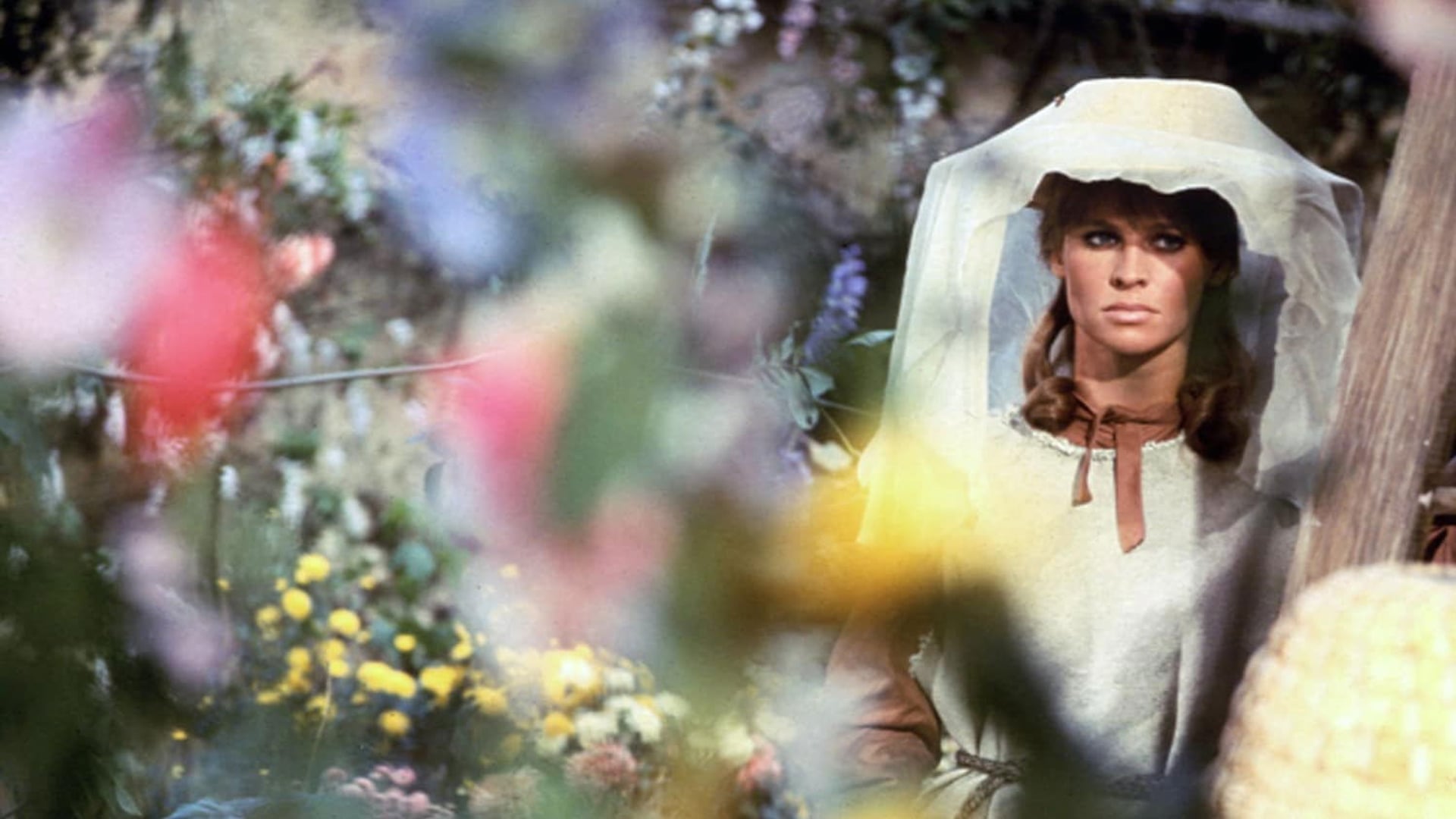 Foto do filme Longe Deste Insensato Mundo