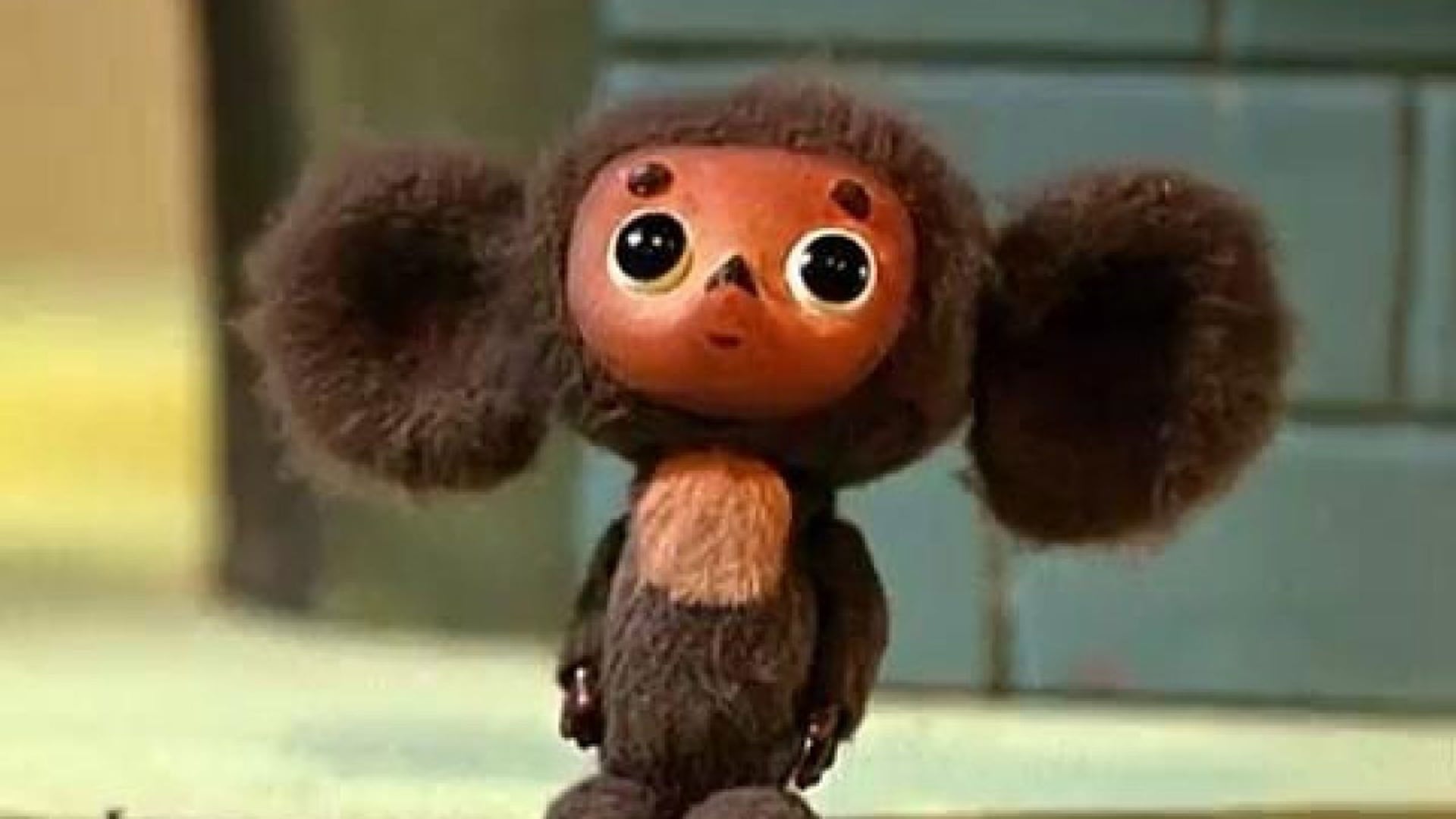Foto do filme Cheburashka