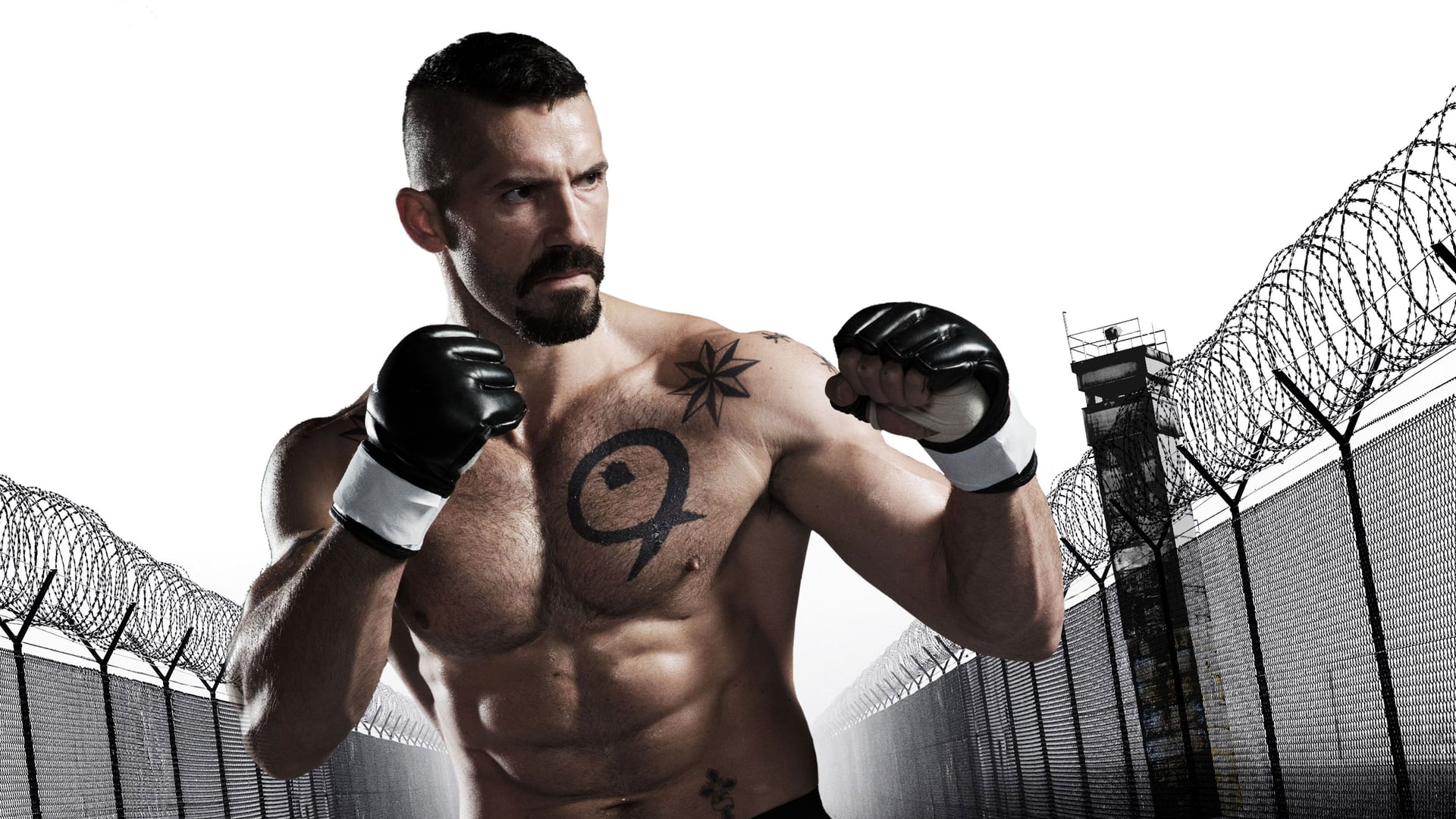 Foto do filme Boyka: O Imbatível