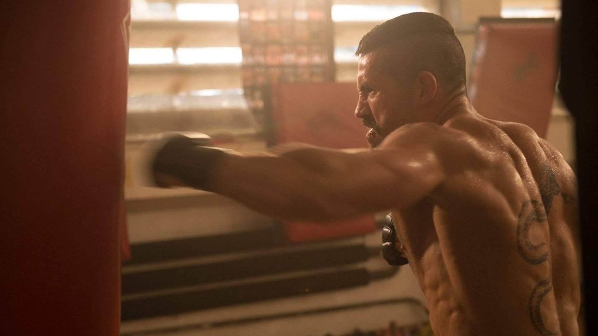 Foto do filme Boyka: O Imbatível