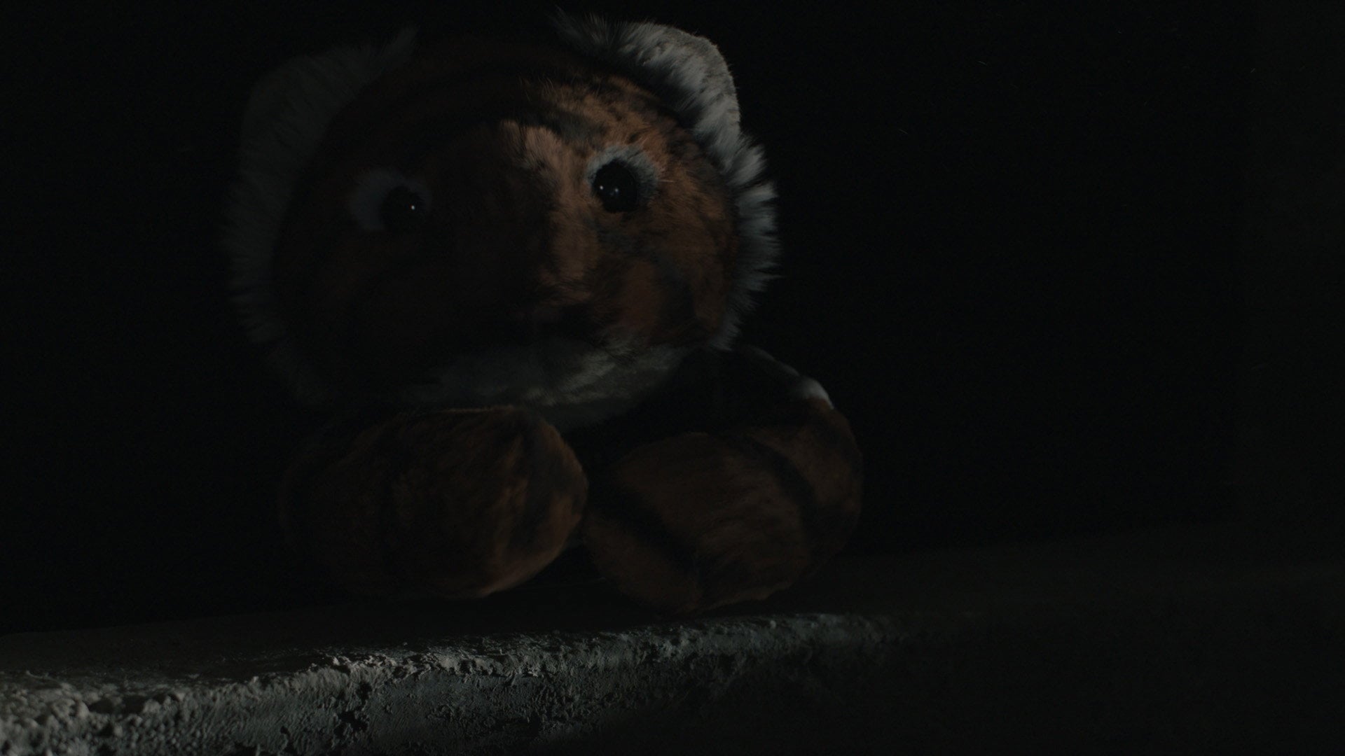 Foto do filme Os Tigres Não Tem Medo