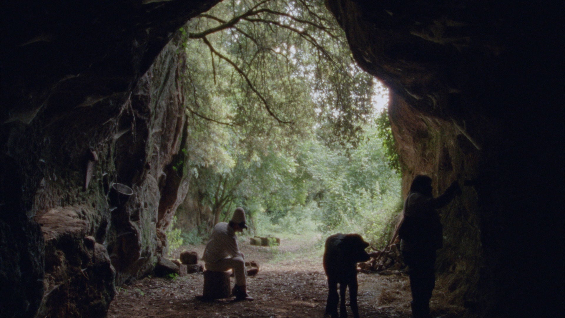 Foto do filme Bela e Perdida