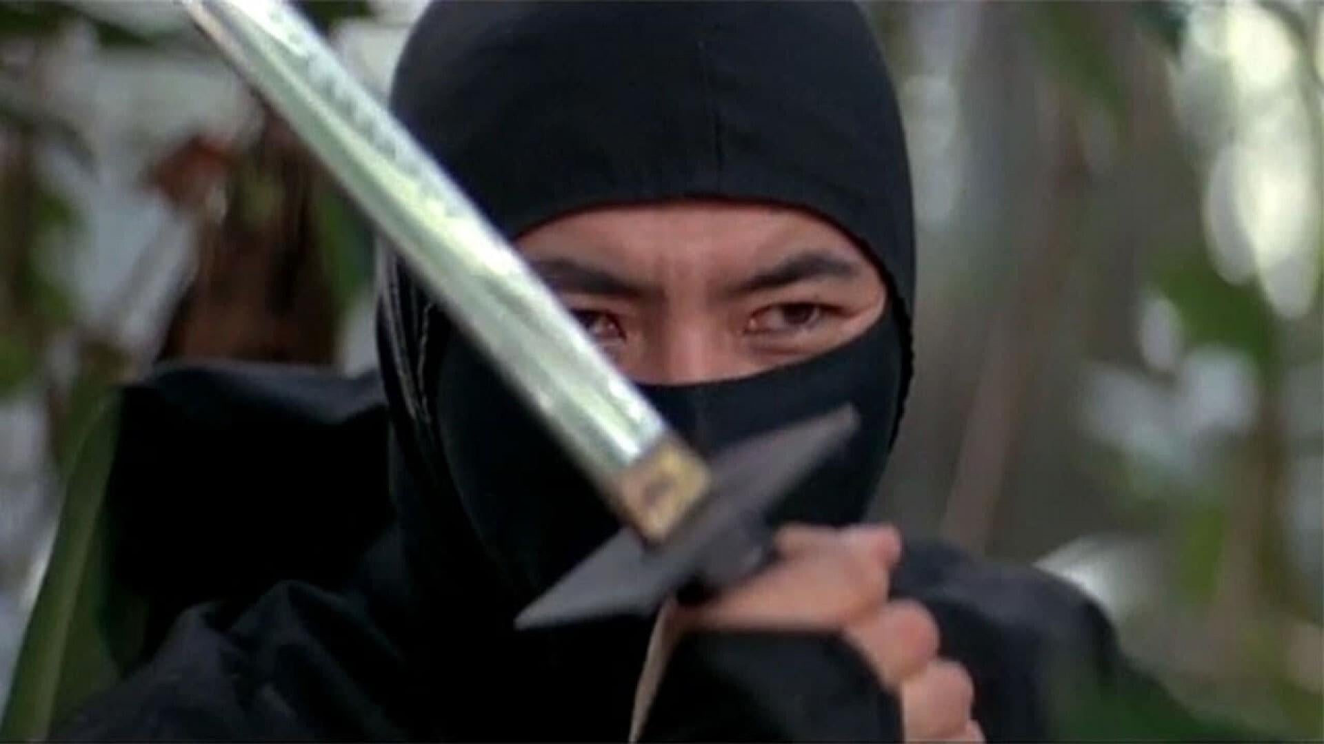 Foto do filme A Sombra de um Ninja