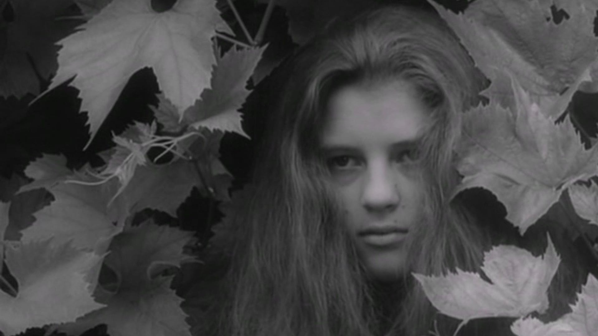 Foto do filme Alice no País das Maravilhas