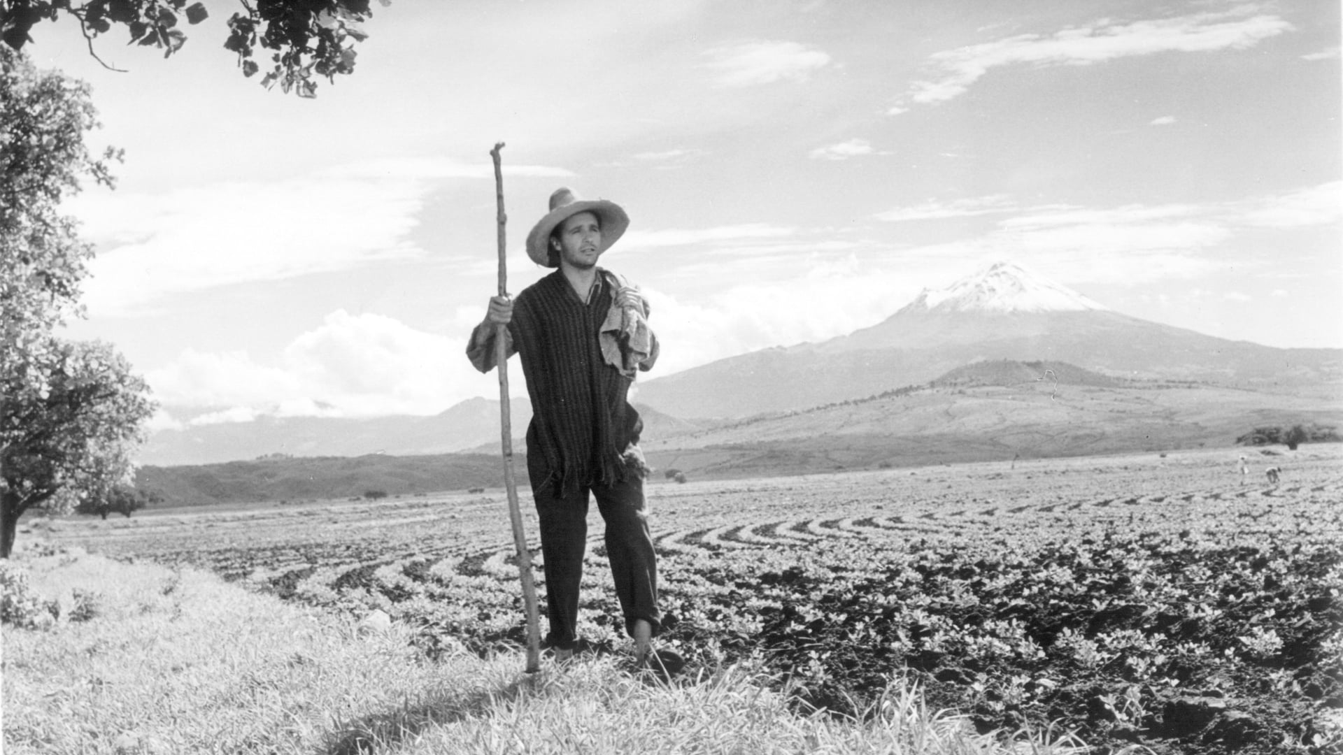 Foto do filme Nazarín