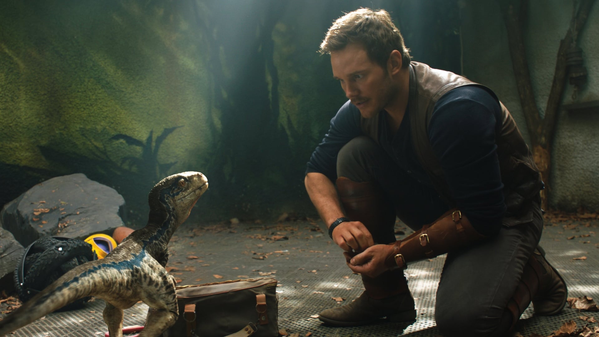 Foto do filme Jurassic World: Reino Ameaçado