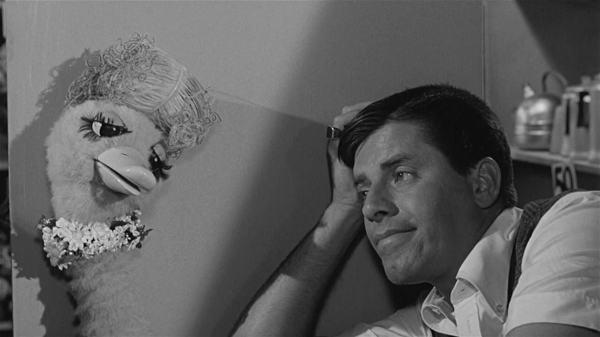 Foto do filme Mocinho Encrenqueiro