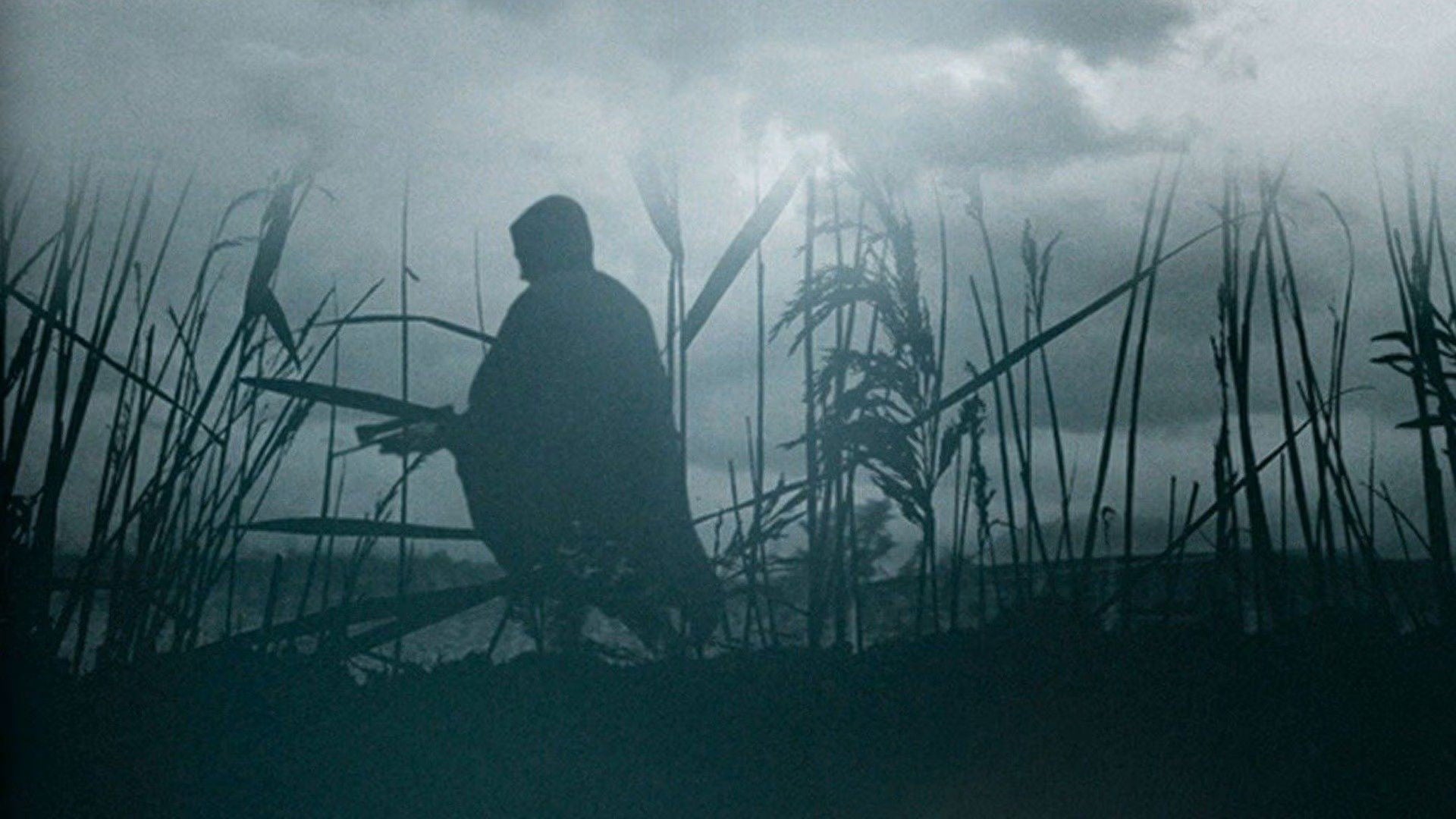 Foto do filme The Reeds