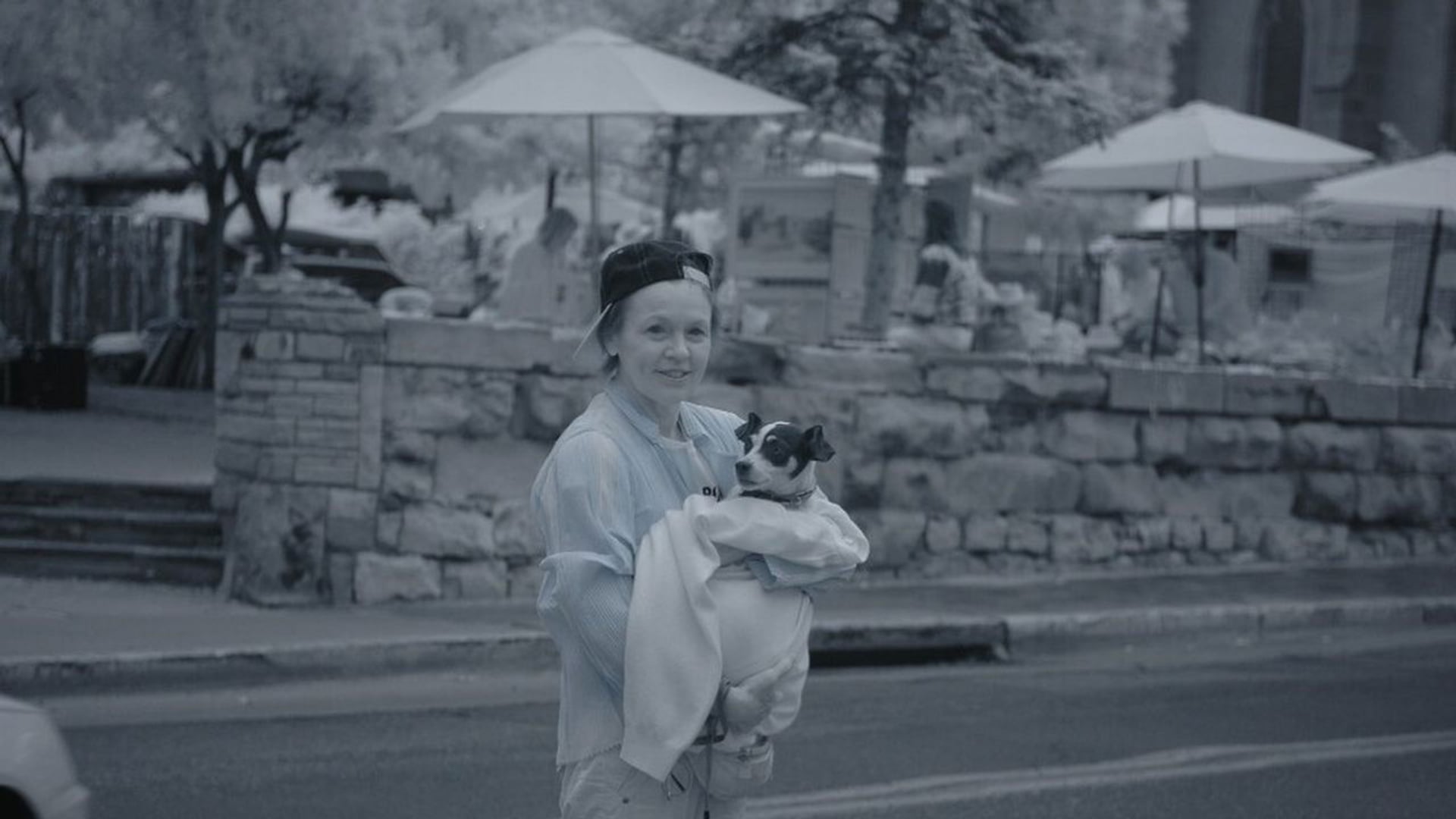 Foto do filme Coração de Cachorro