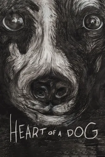 Coração de Cachorro