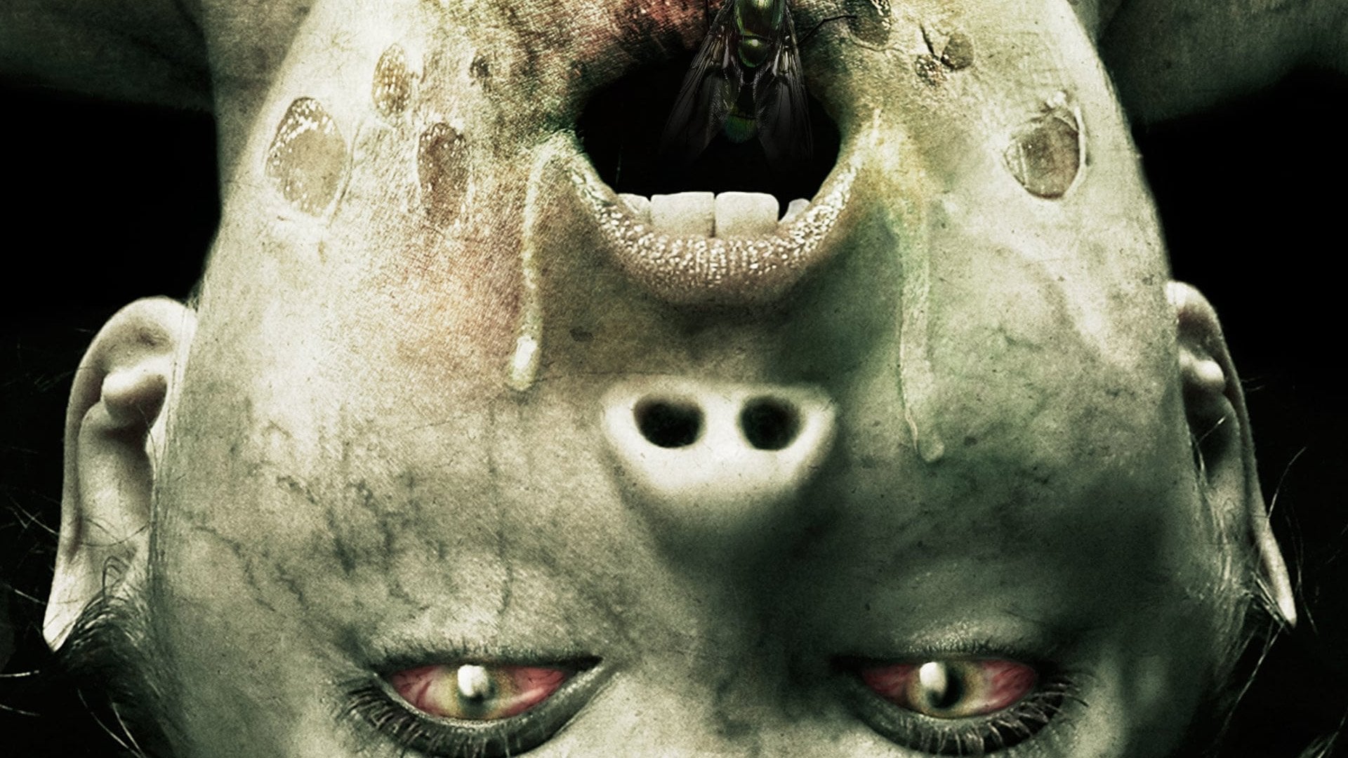 Foto do filme O Exorcismo de Molly Hartley