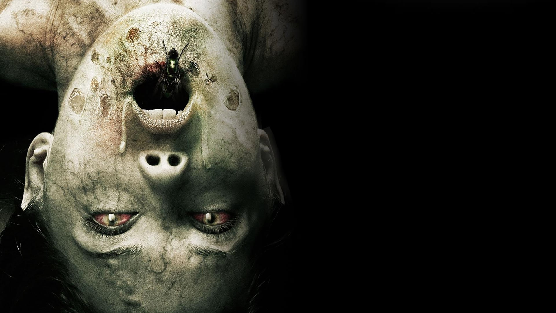 Foto do filme O Exorcismo de Molly Hartley